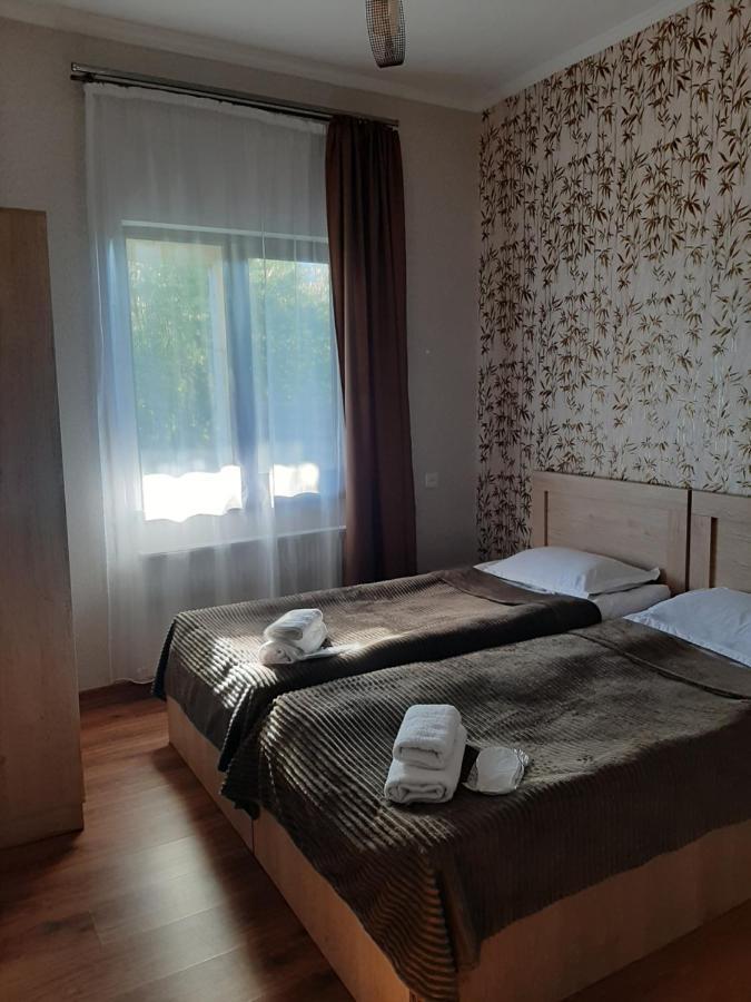 Royal Galaxy Apartment Kazbegi Extérieur photo